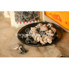 Healthy Vegetable 3-4cm Thin Tea Flower Mushroom